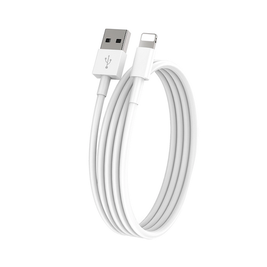 iPhone Câble USB-Lightning D1