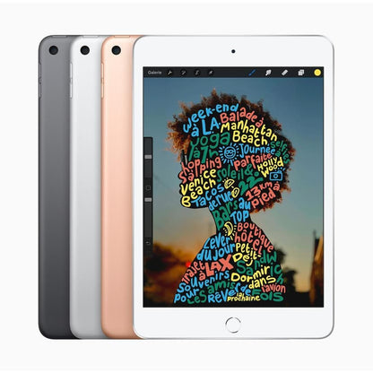 iPad mini (2019) 5e génération-WiFi Reconditionné